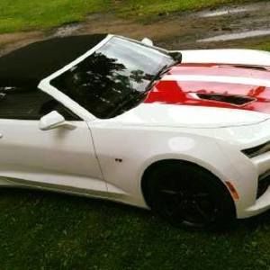 Meet your Posher, Lorena n tim